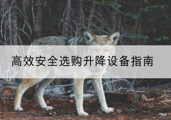 高要升降货梯厂家推荐-*安全选购升降设备指南