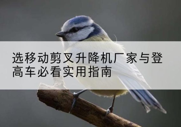 高要电动升降机厂家-选移动剪叉升降机厂家与登高车必看实用指南